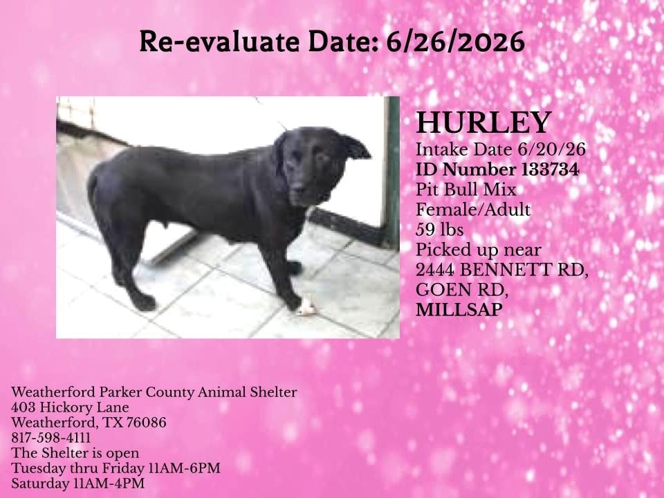 Additional photo of HURLEY