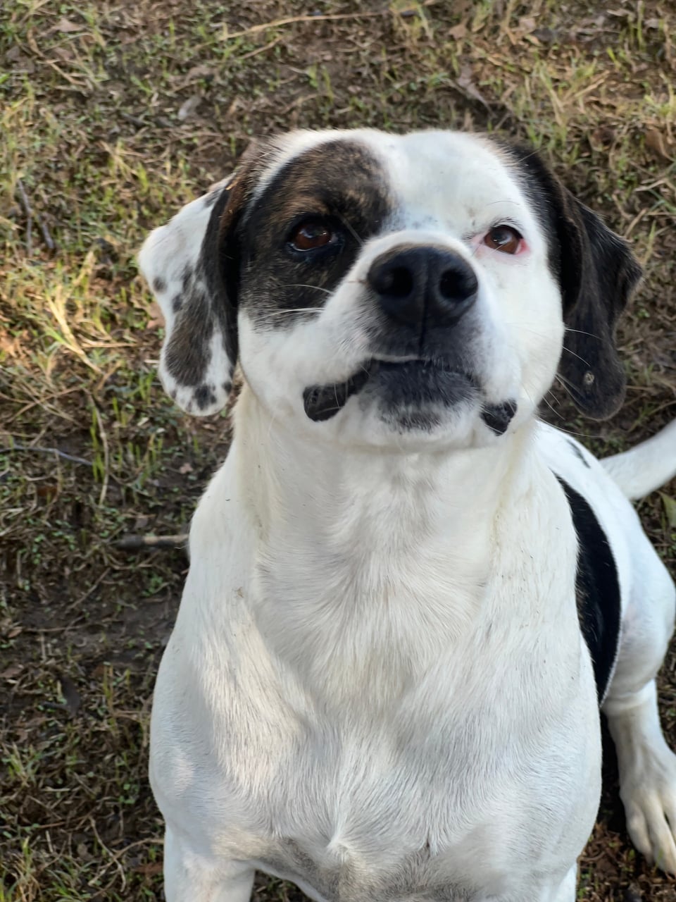 Additional photo of PETEY