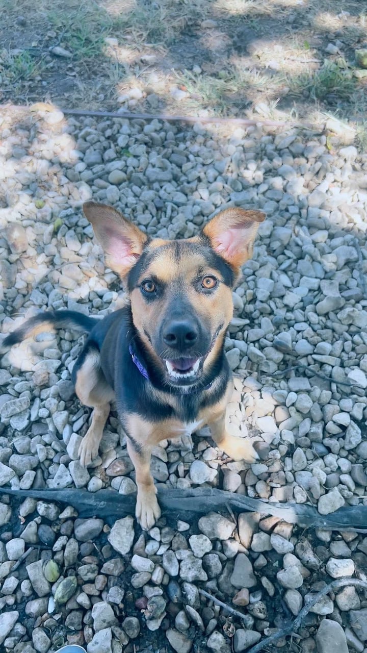 MATILDA