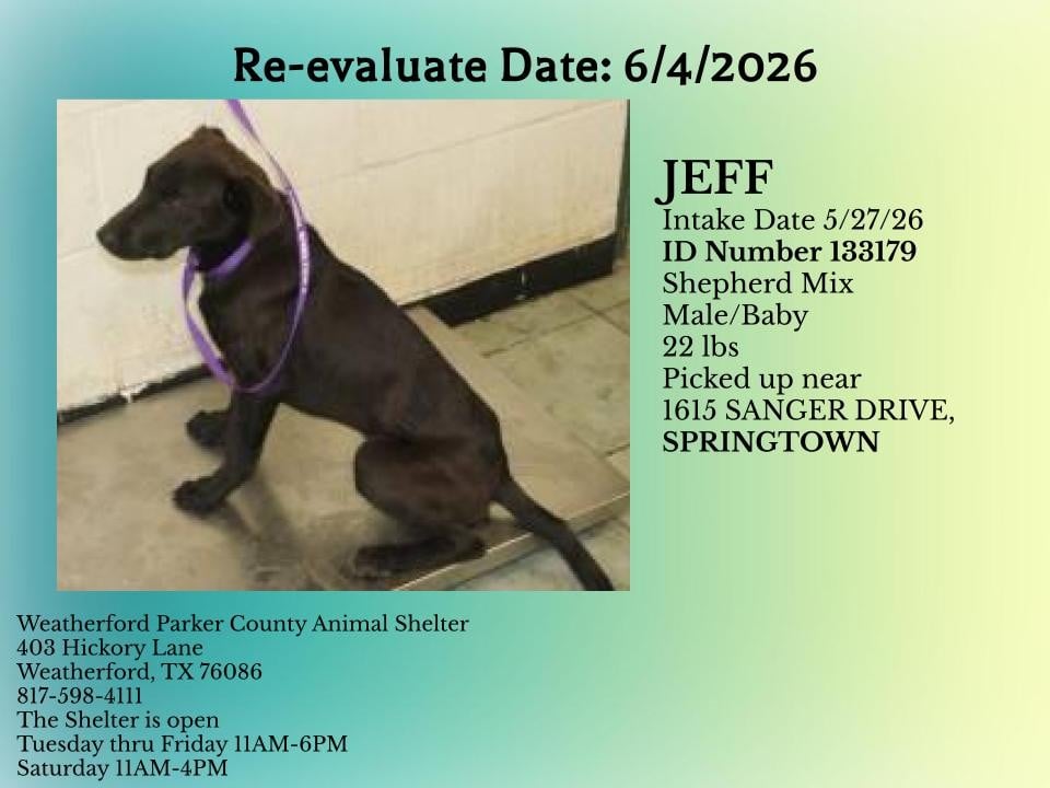 Additional photo of JEFF