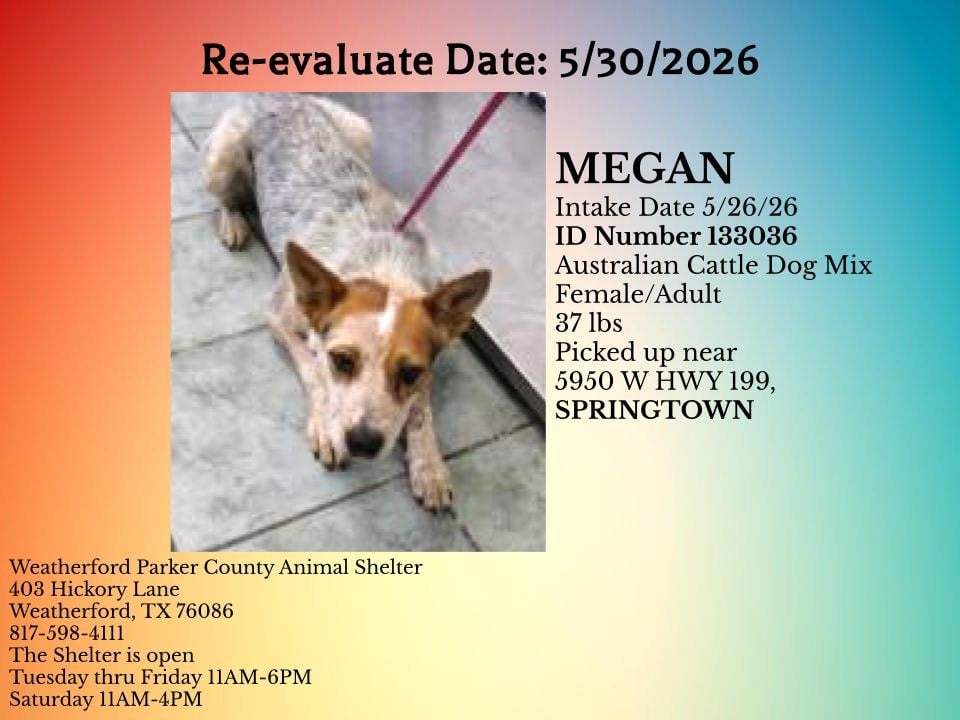 MEGAN