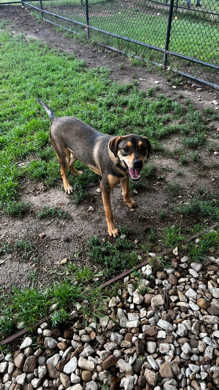 Additional photo of MONKEY