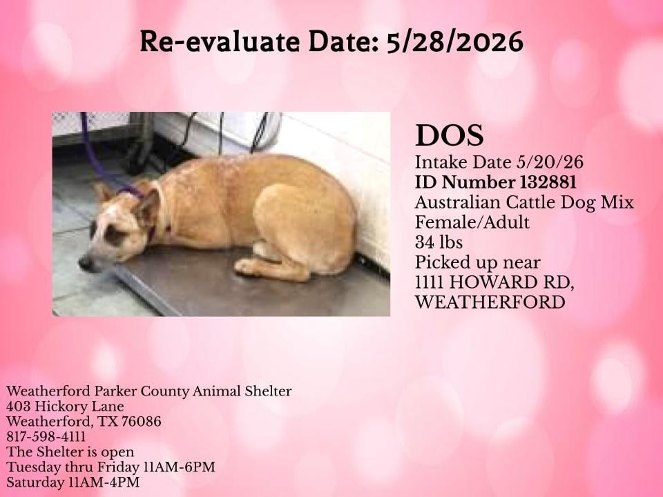 Additional photo of DOS
