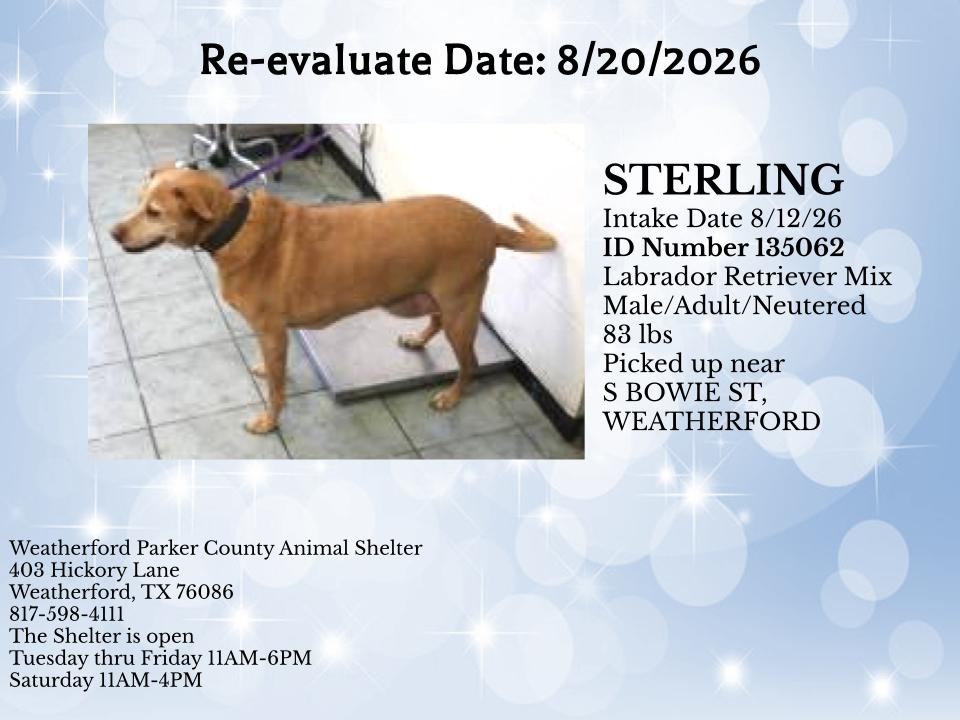 Additional photo of STERLING