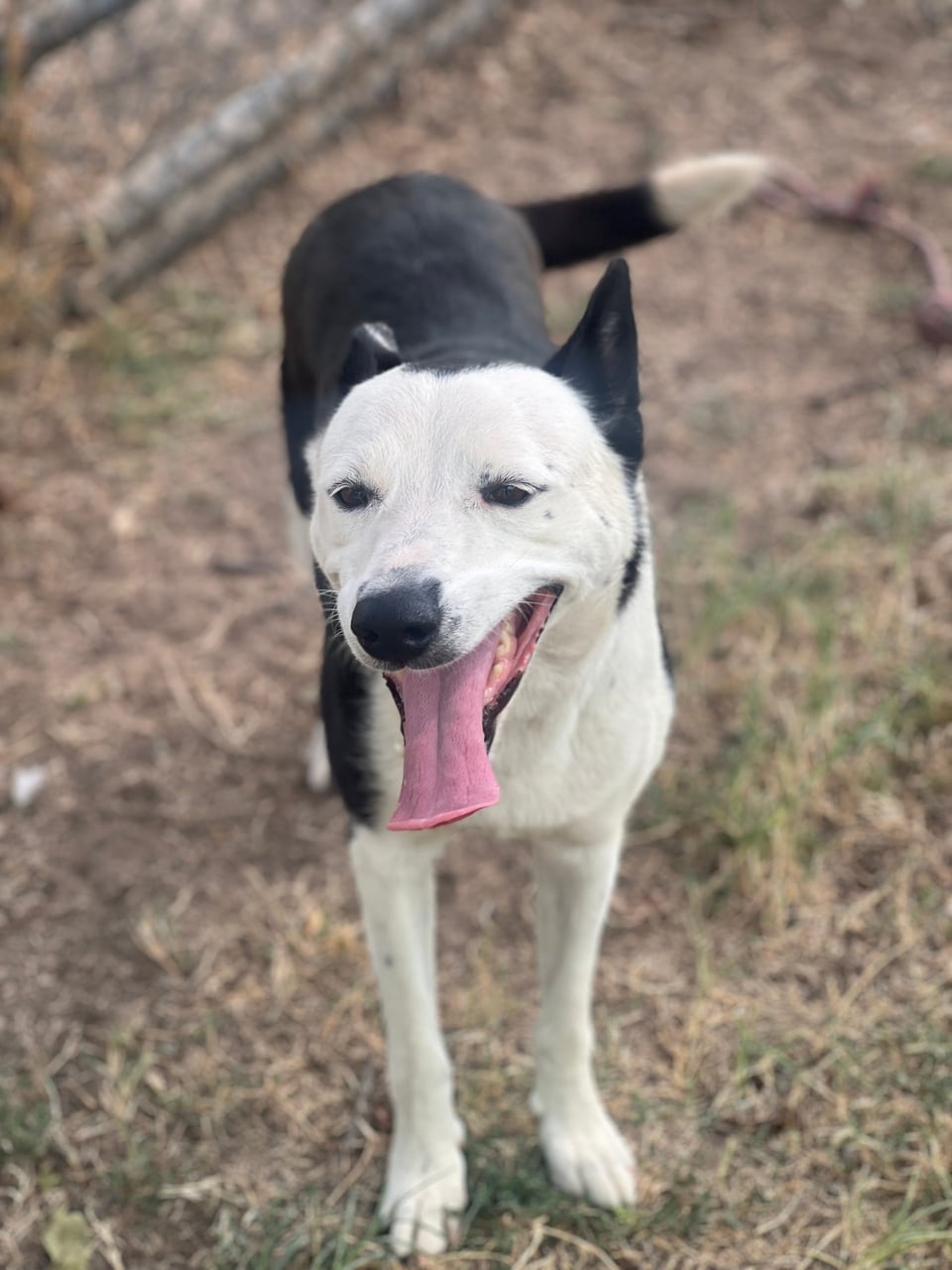 Additional photo of COCO