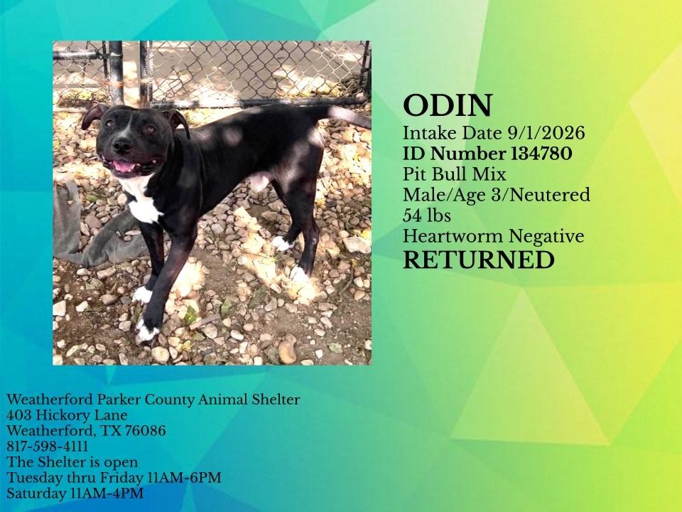 Additional photo of ODIN