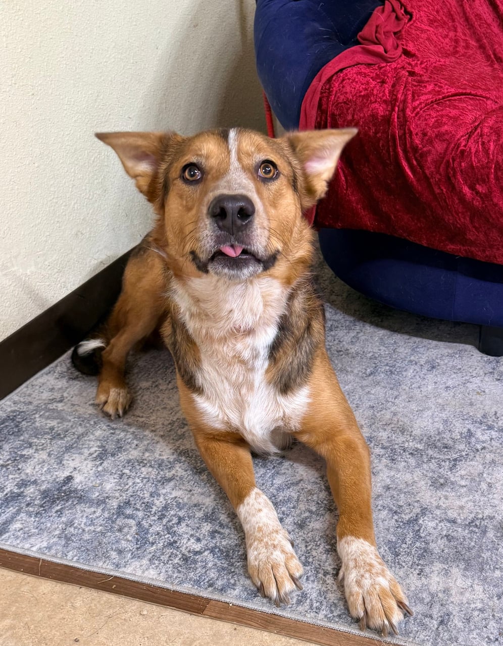 Additional photo of BINGO