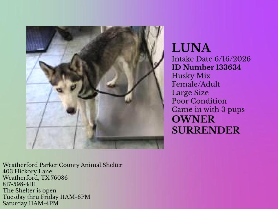 Additional photo of LUNA