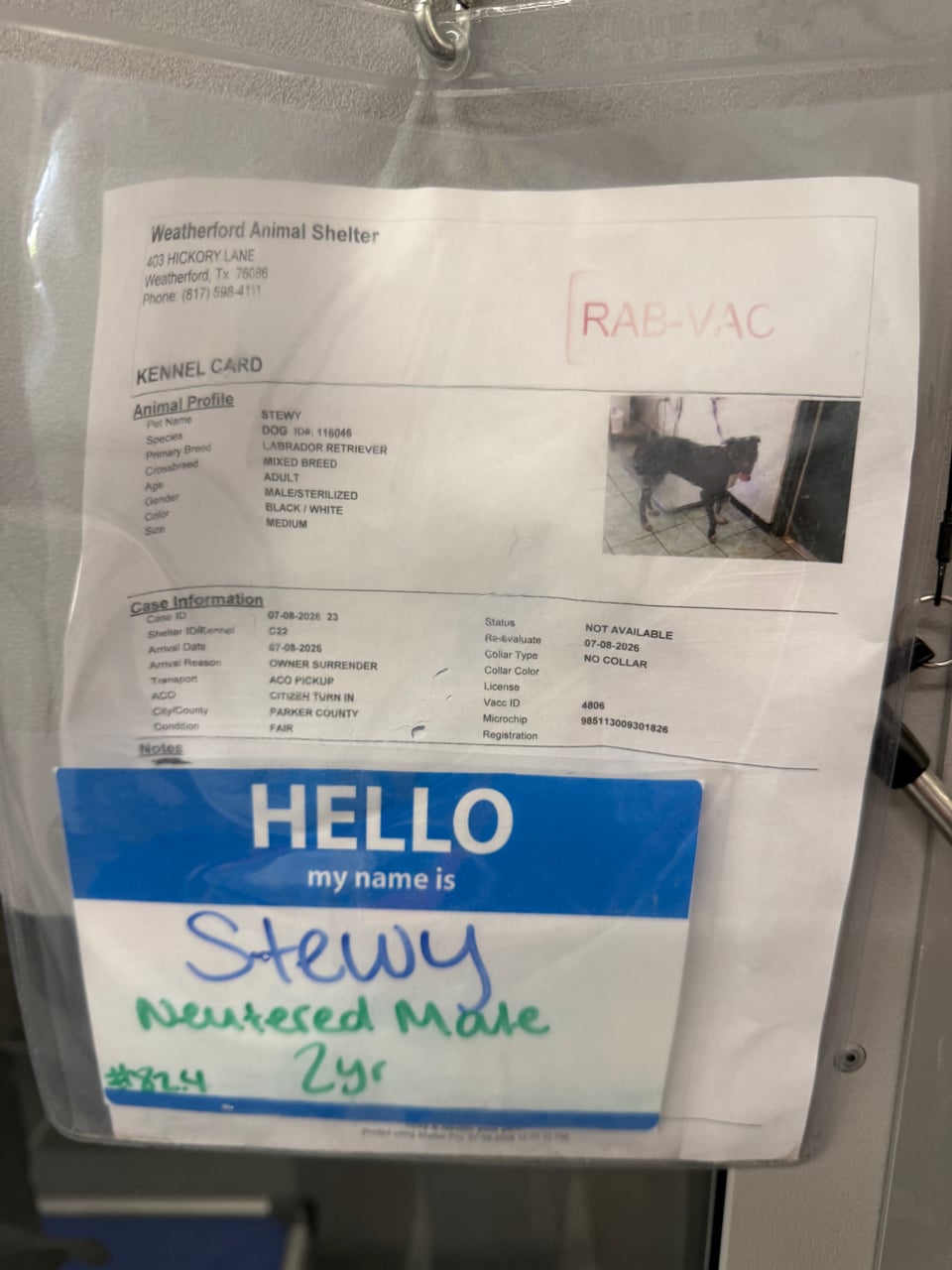 Additional photo of STEWY