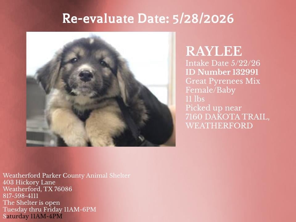 RAYLEE