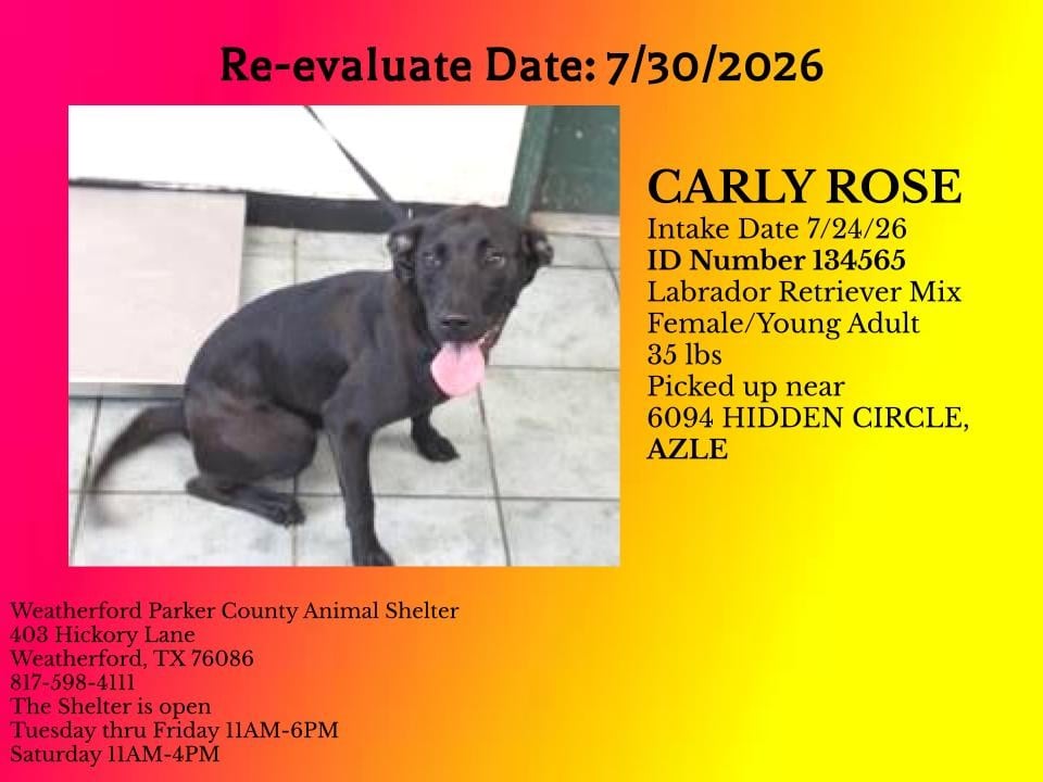 Additional photo of CARLY ROSE
