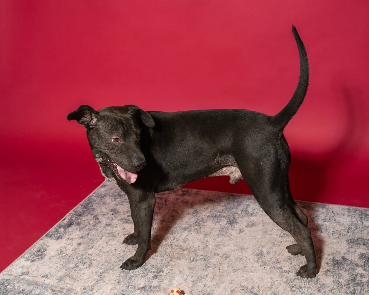 Additional photo of BUENO