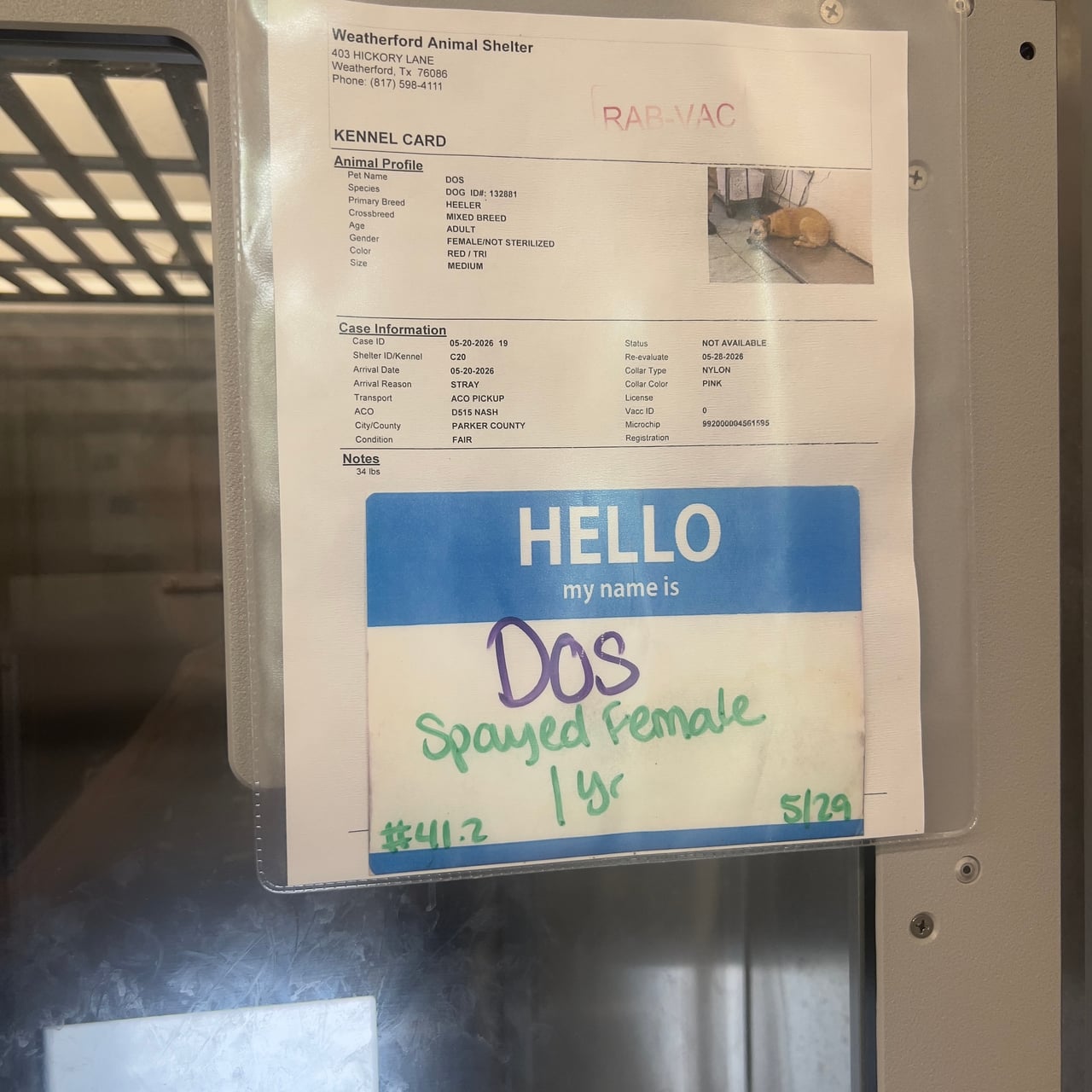 Additional photo of DOS