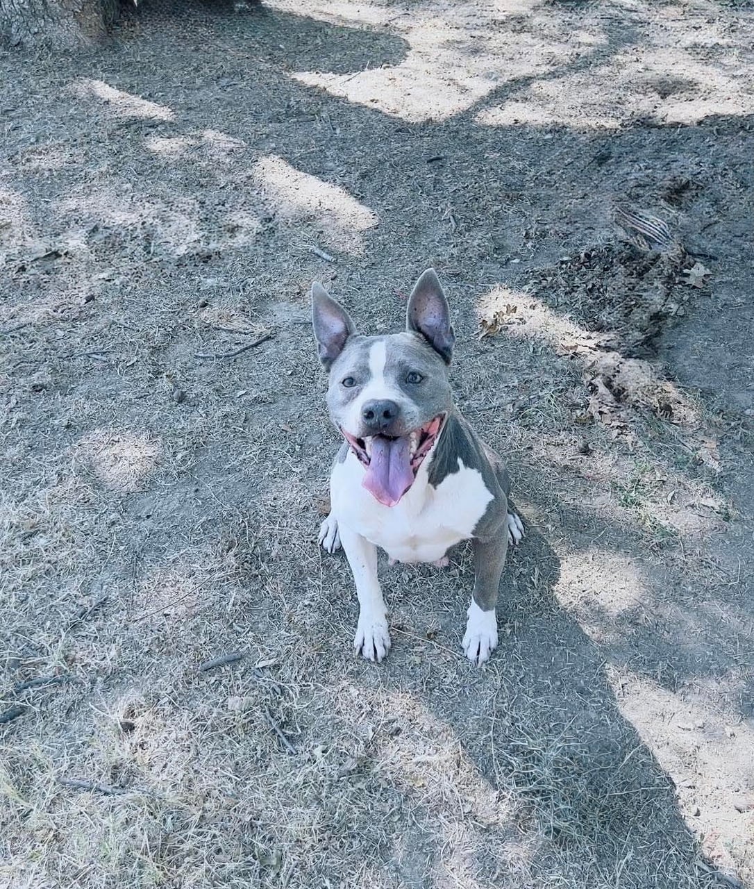 Additional photo of ROXY