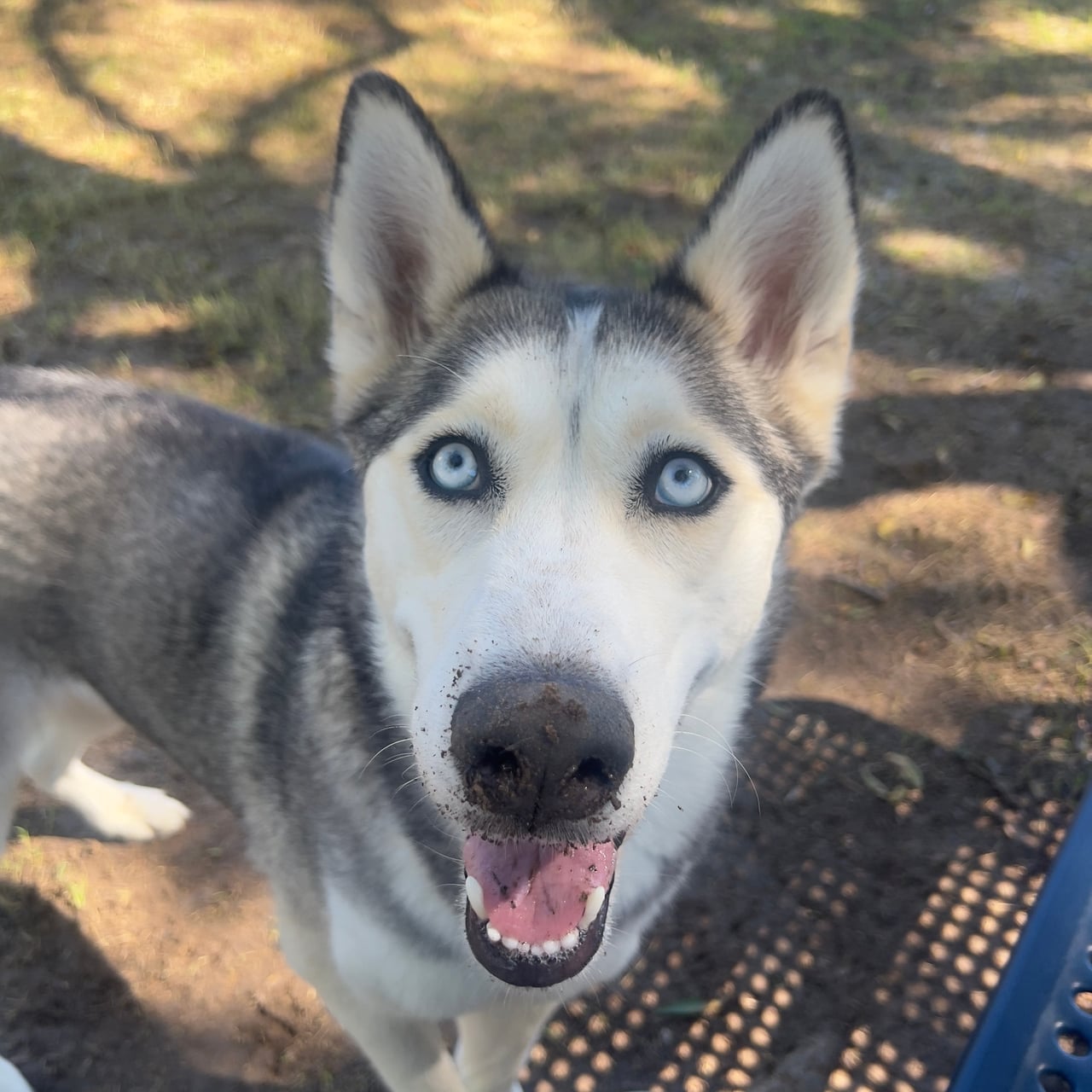 Additional photo of LUNA