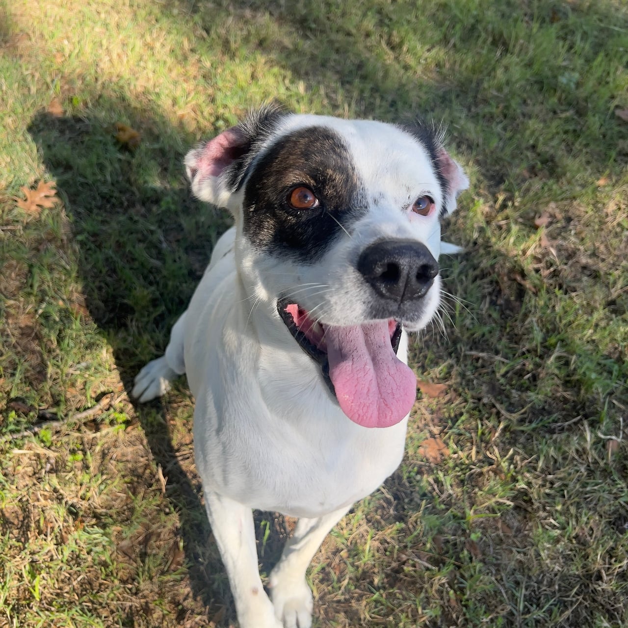 Additional photo of PETEY