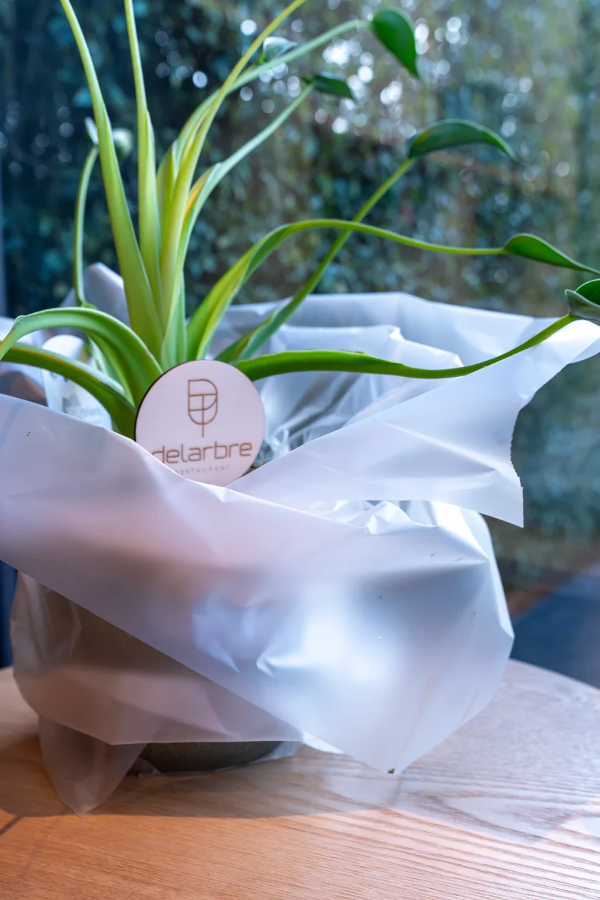 Delarbre Culinair — Restaurant