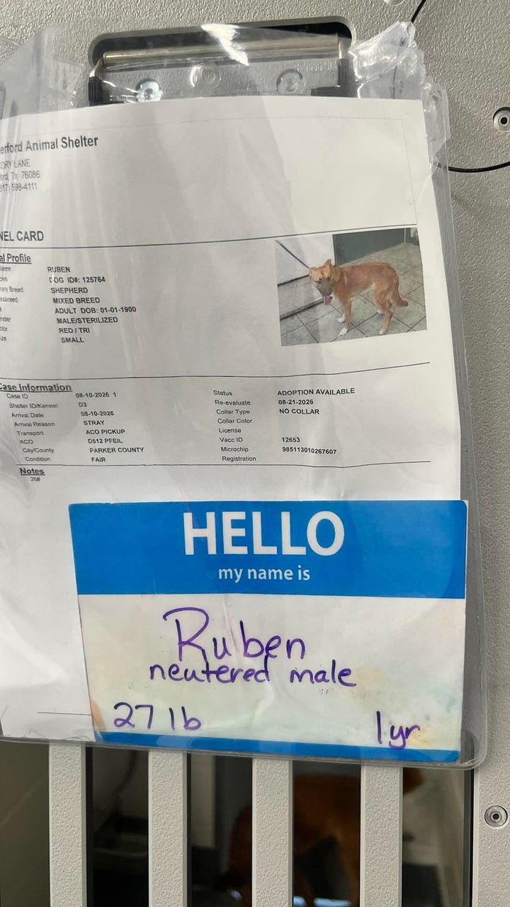 Additional photo of RUBEN