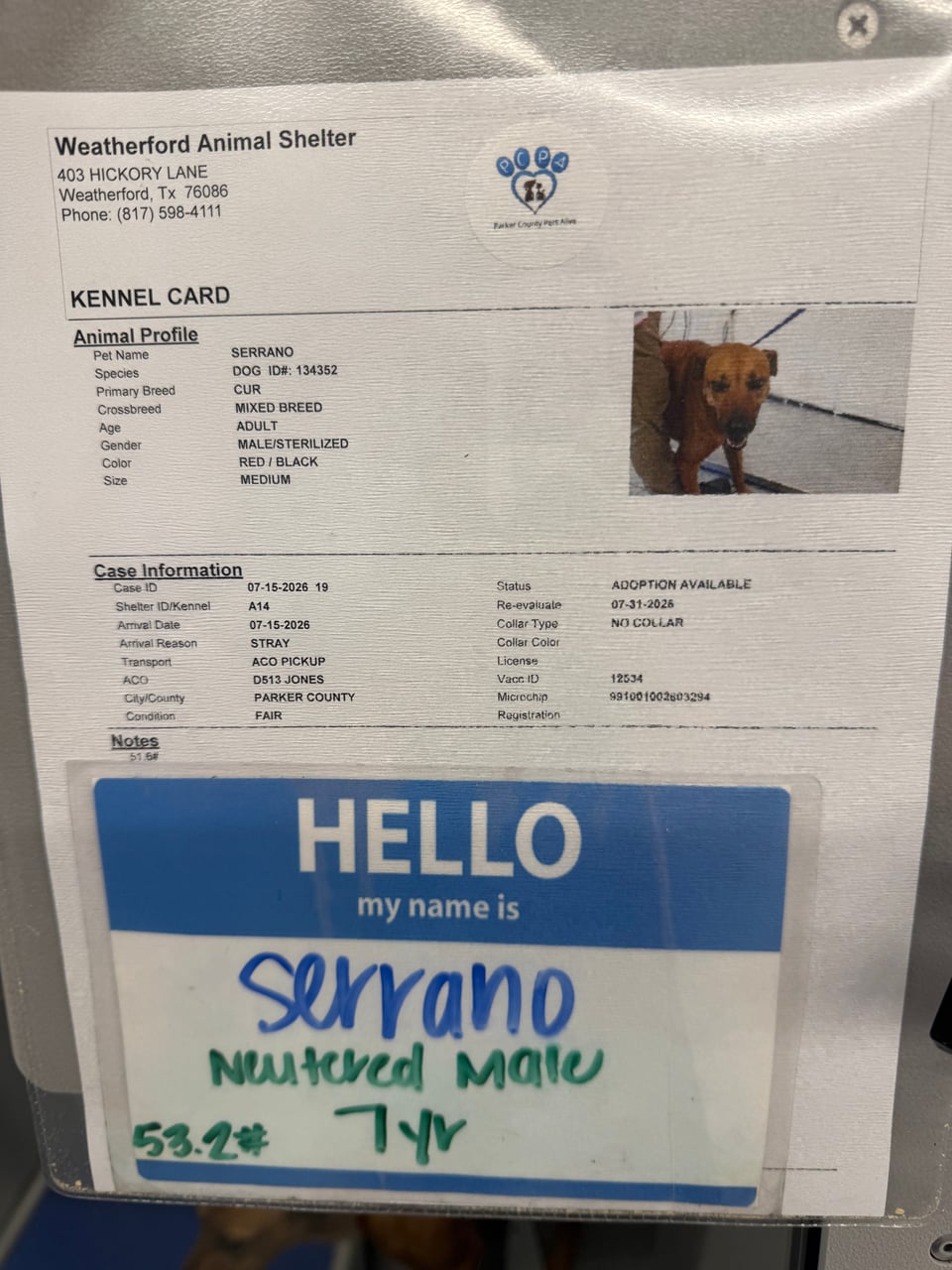 Additional photo of SERRANO