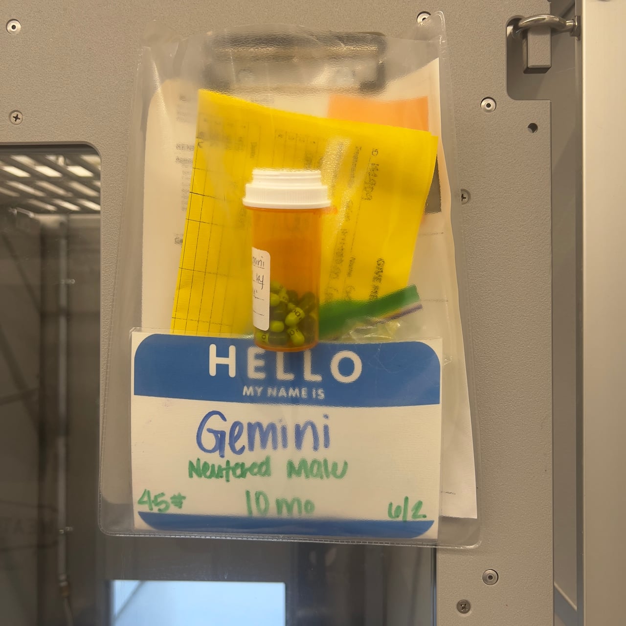 Additional photo of GEMINI