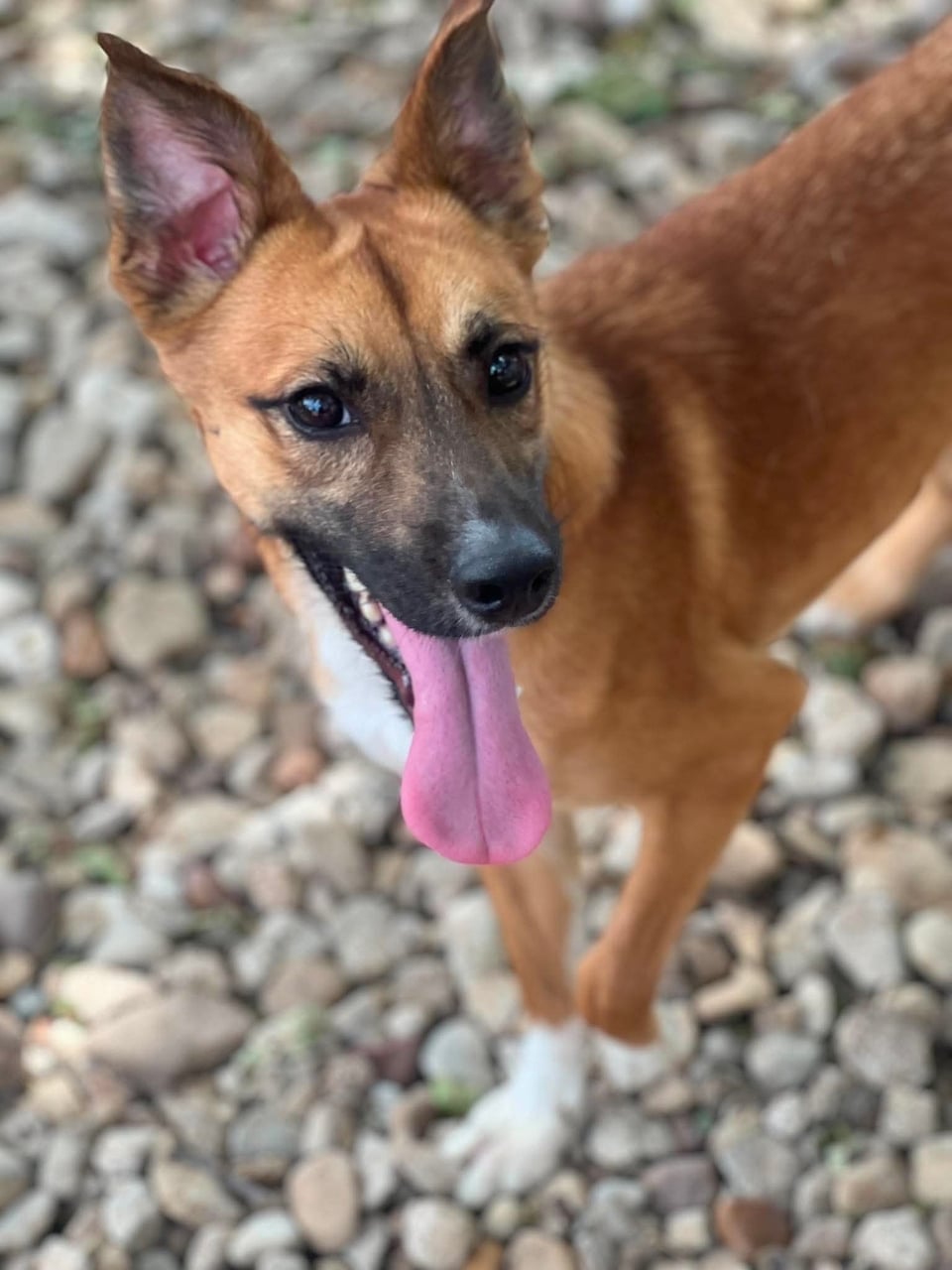 Additional photo of RUBEN