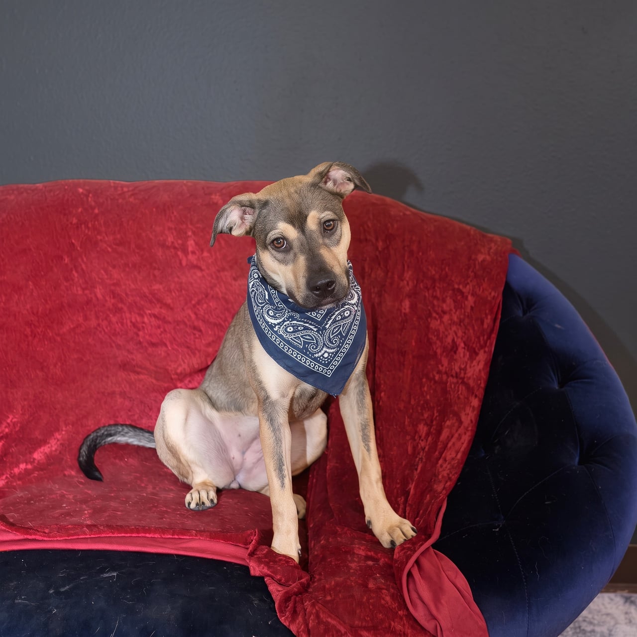 Additional photo of BUBBLICIOUS