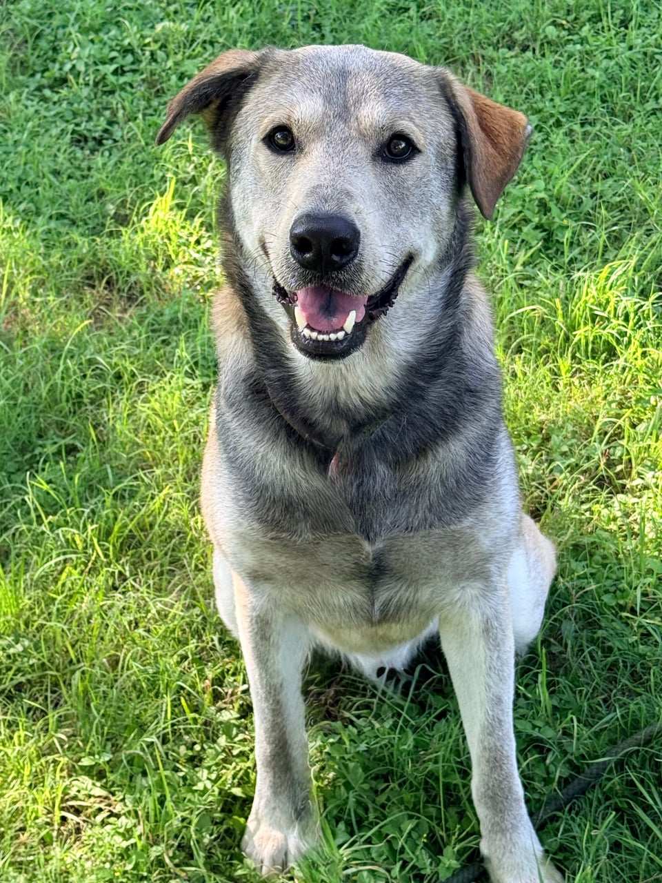 Additional photo of KRAMER