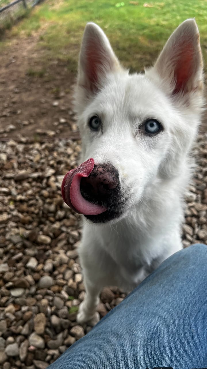Additional photo of STELLA