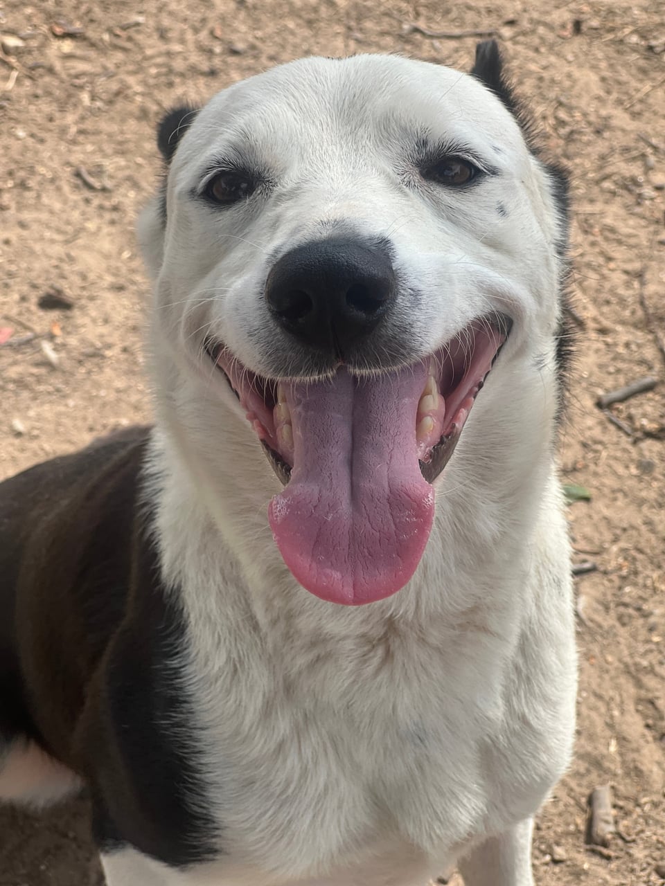 Additional photo of COCO