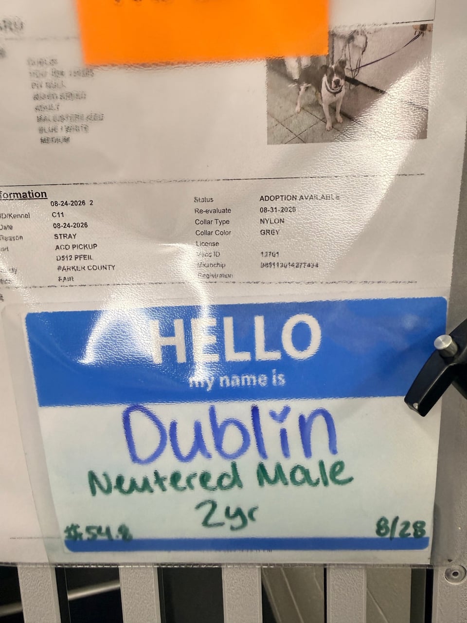 Additional photo of DUBLIN