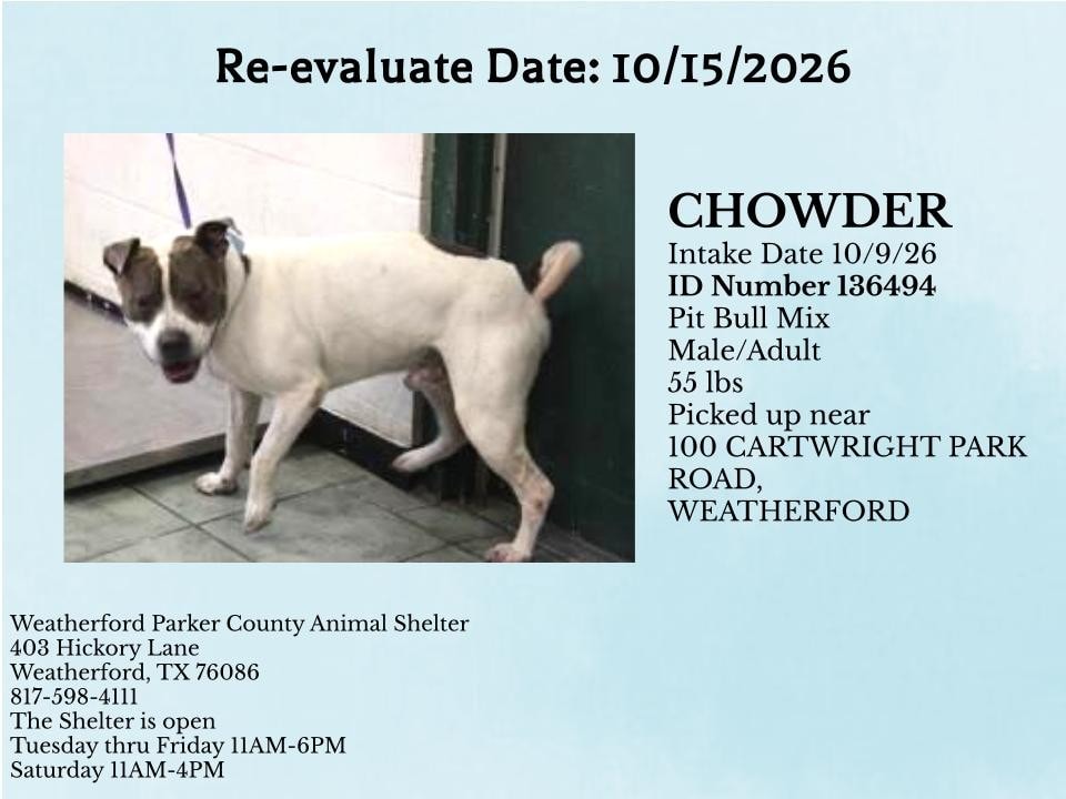 Additional photo of CHOWDER