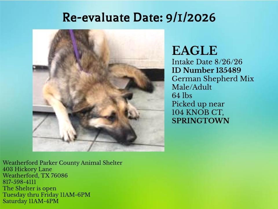 Additional photo of EAGLE