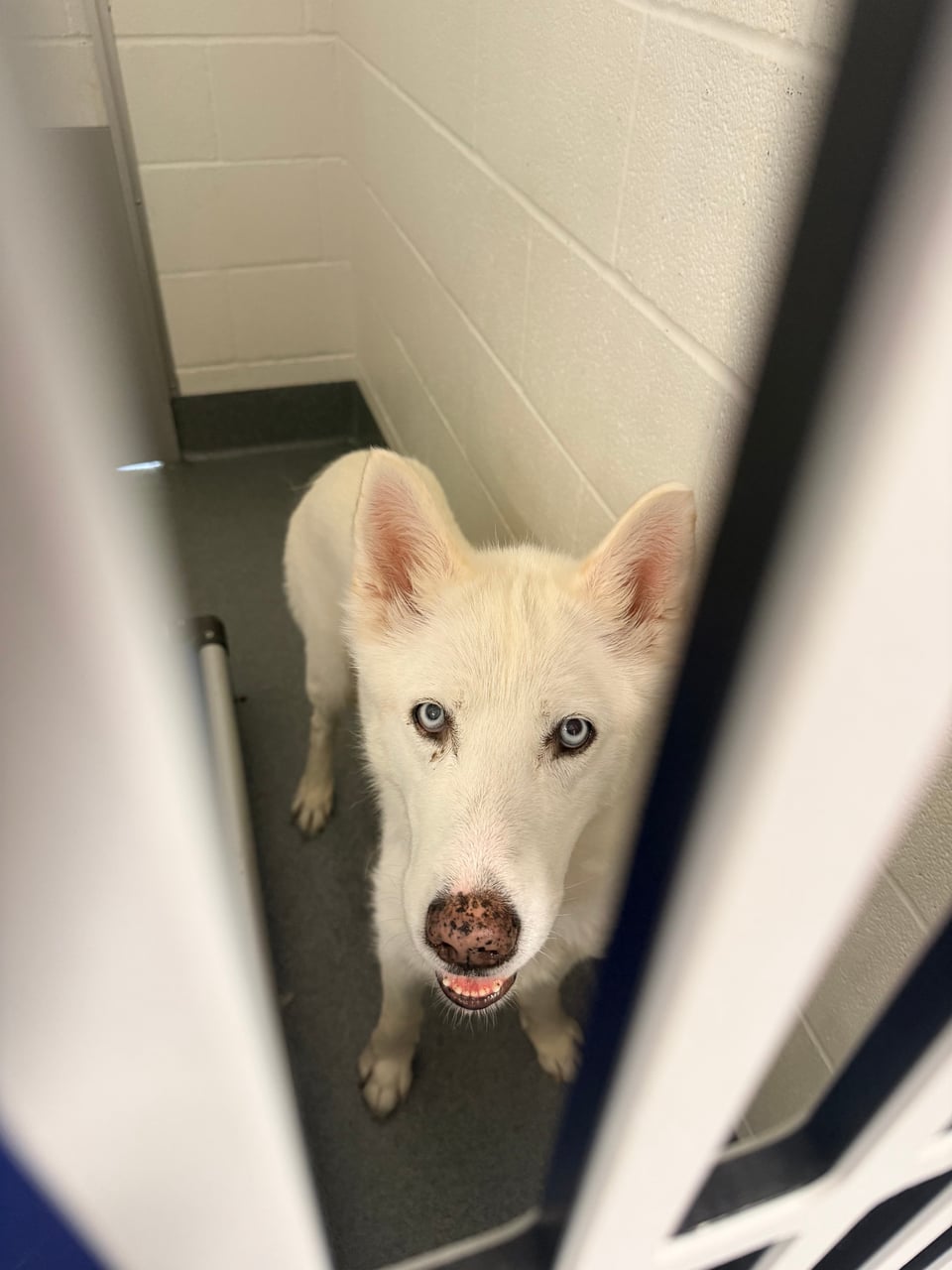 Additional photo of STELLA
