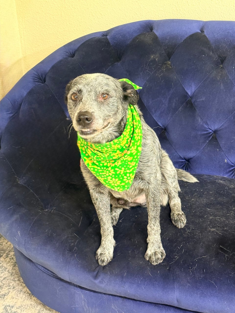 Additional photo of JASPER