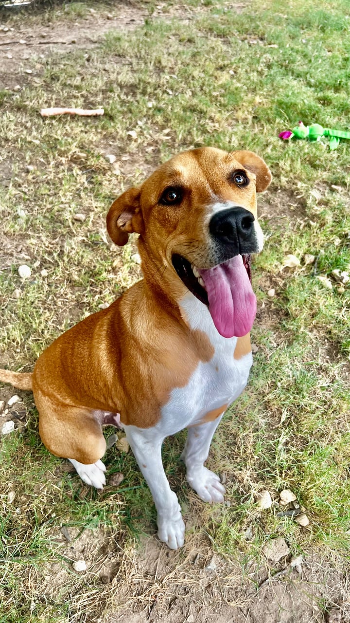 Additional photo of GUMBO