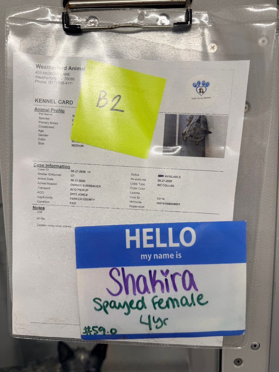 Additional photo of SHAKIRA
