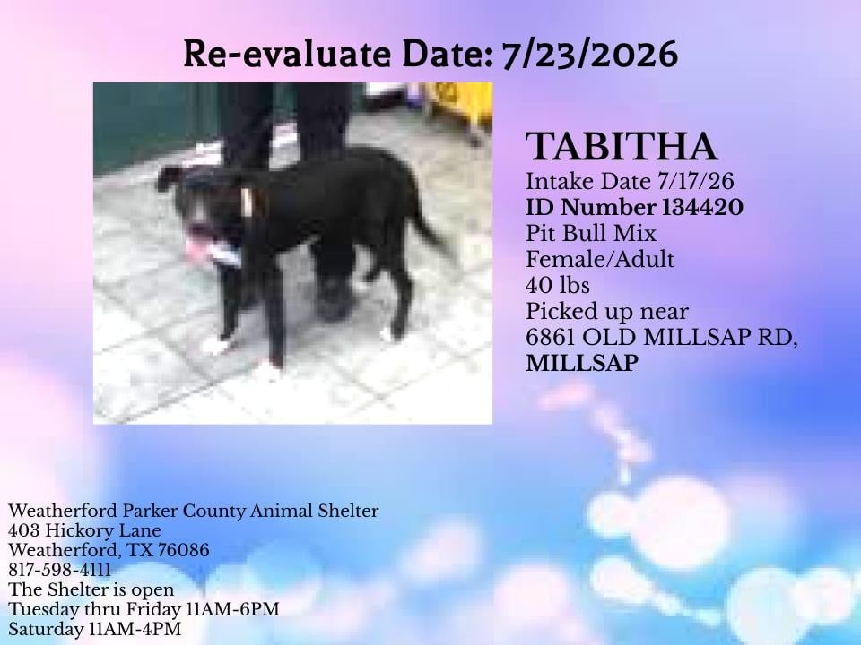 Additional photo of TABITHA
