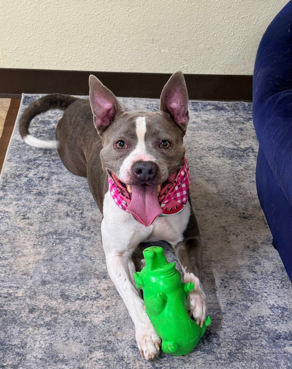 Additional photo of ROXY