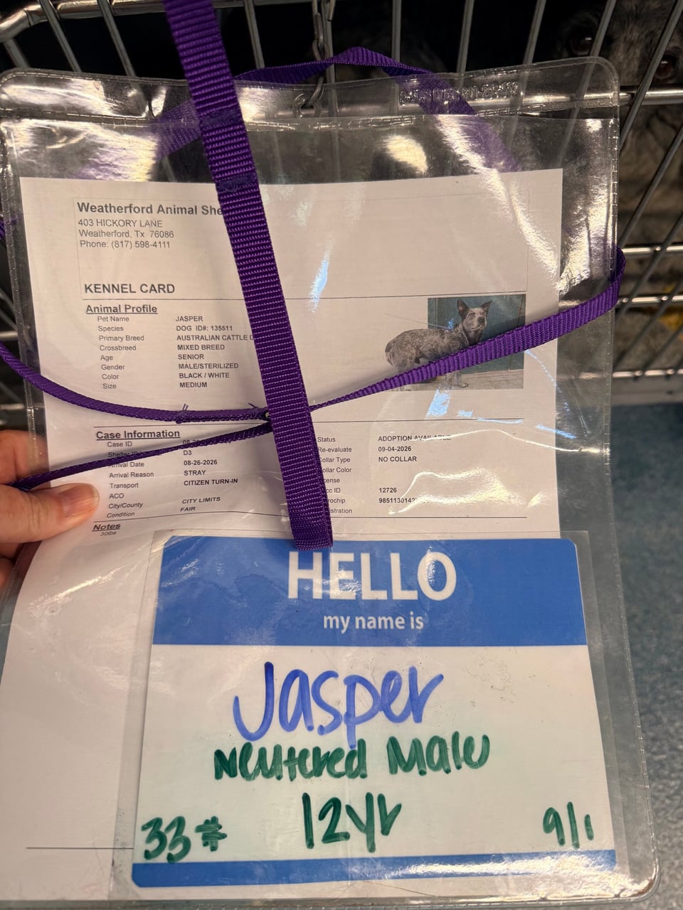 Additional photo of JASPER