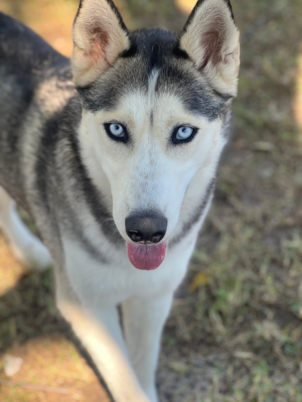 Additional photo of LUNA