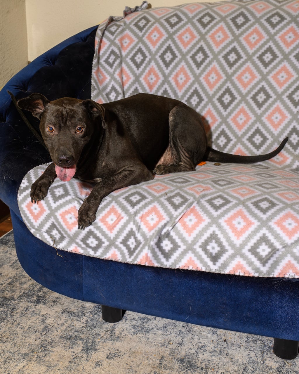 Additional photo of BUENO