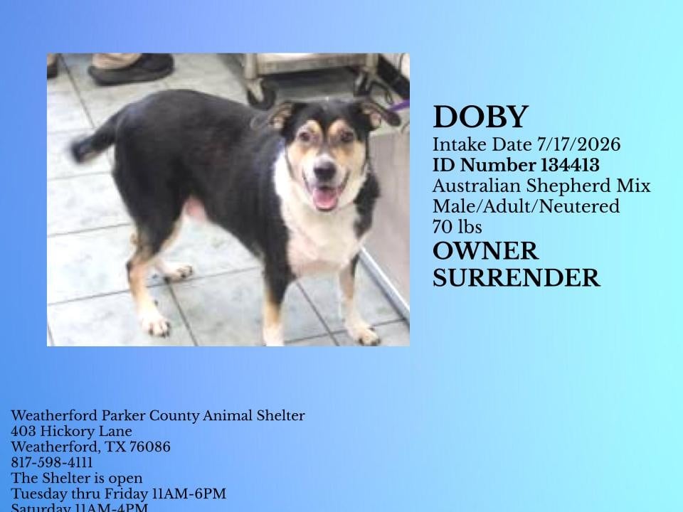 Additional photo of DOBY