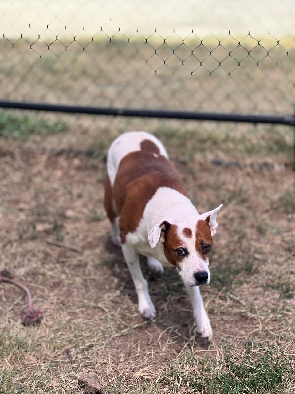 Additional photo of DUNCAN