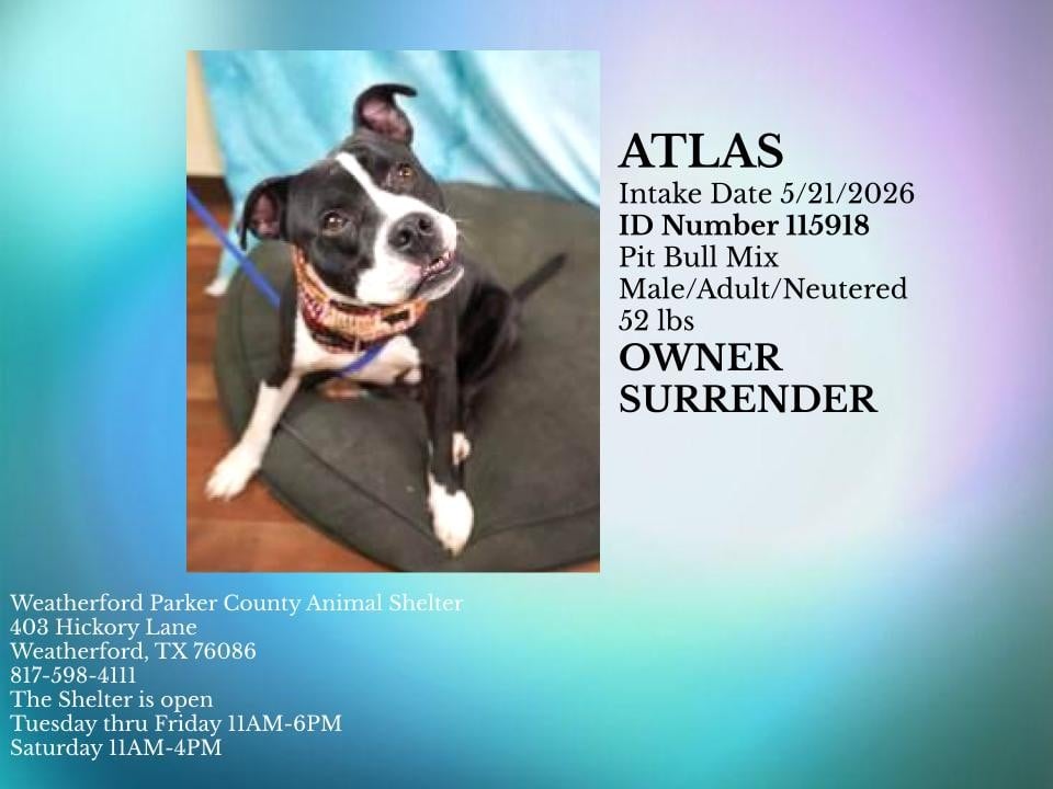 Additional photo of ATLAS