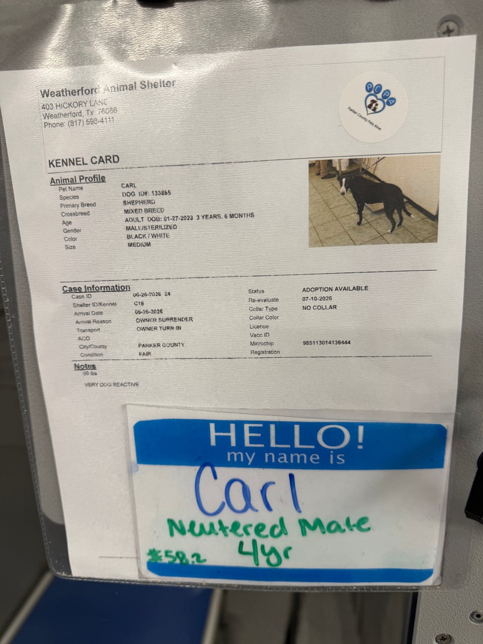 Additional photo of CARL