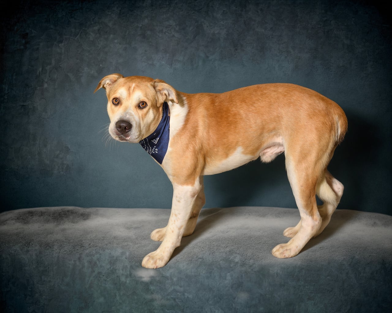 Additional photo of RUSTY