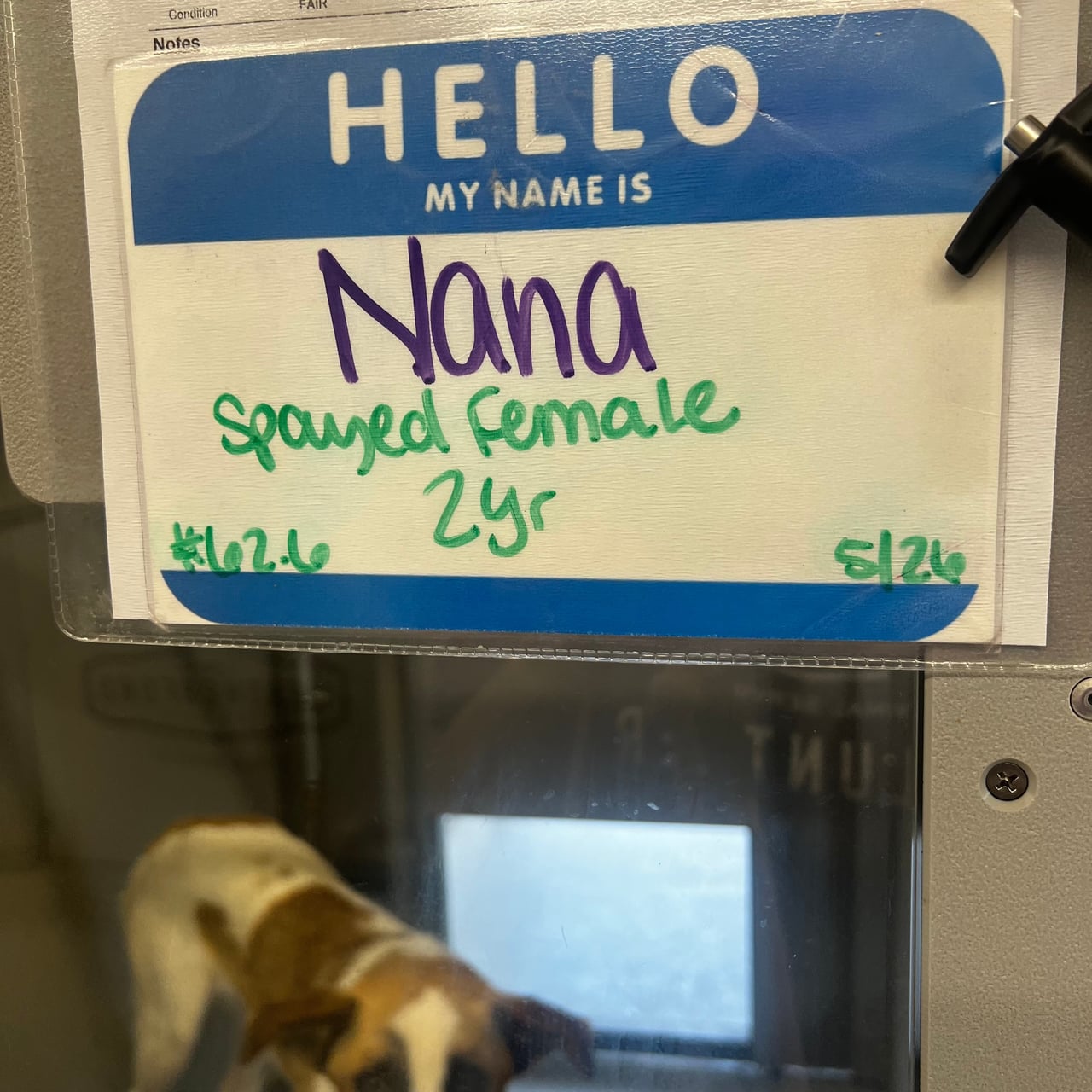 Additional photo of NANA