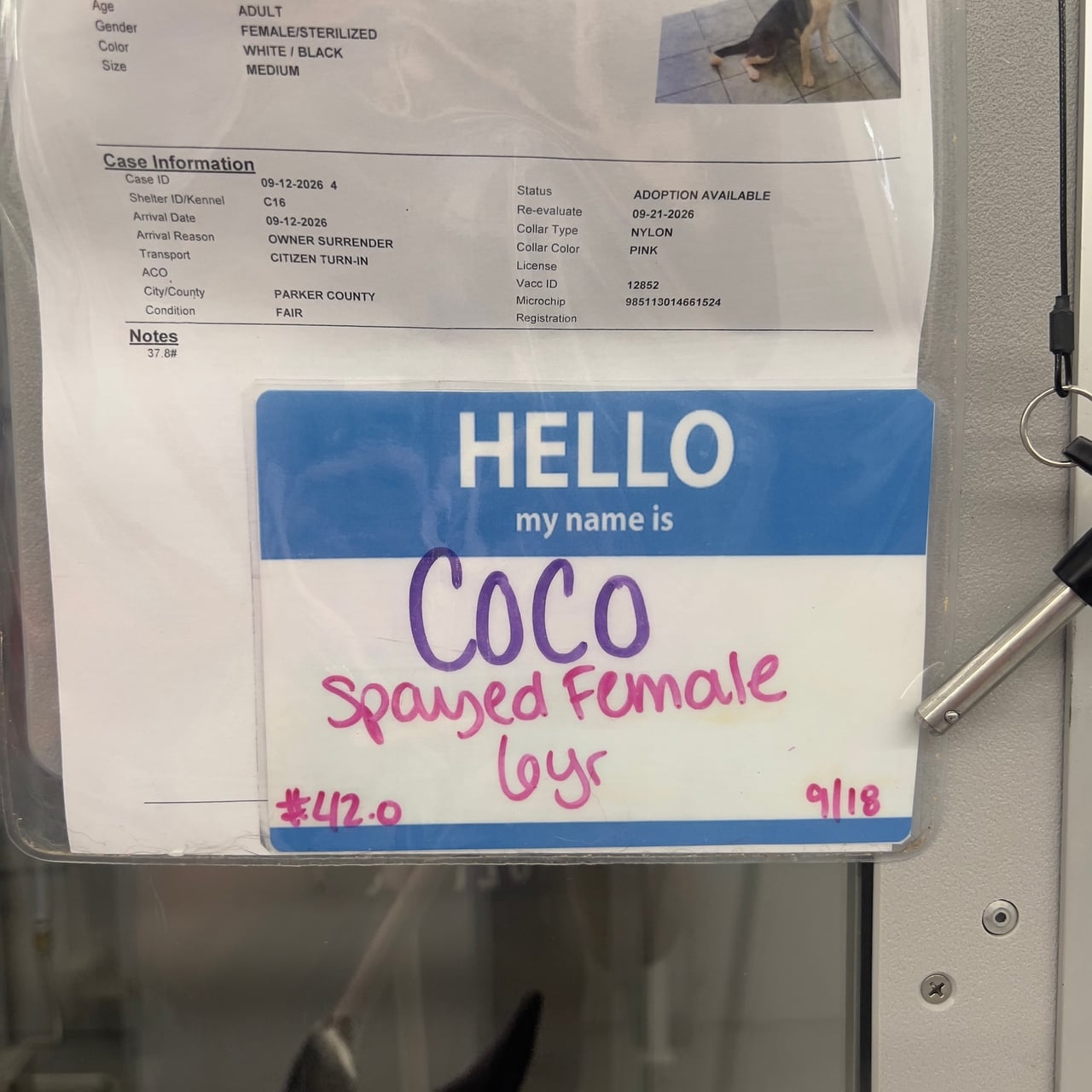 Additional photo of COCO