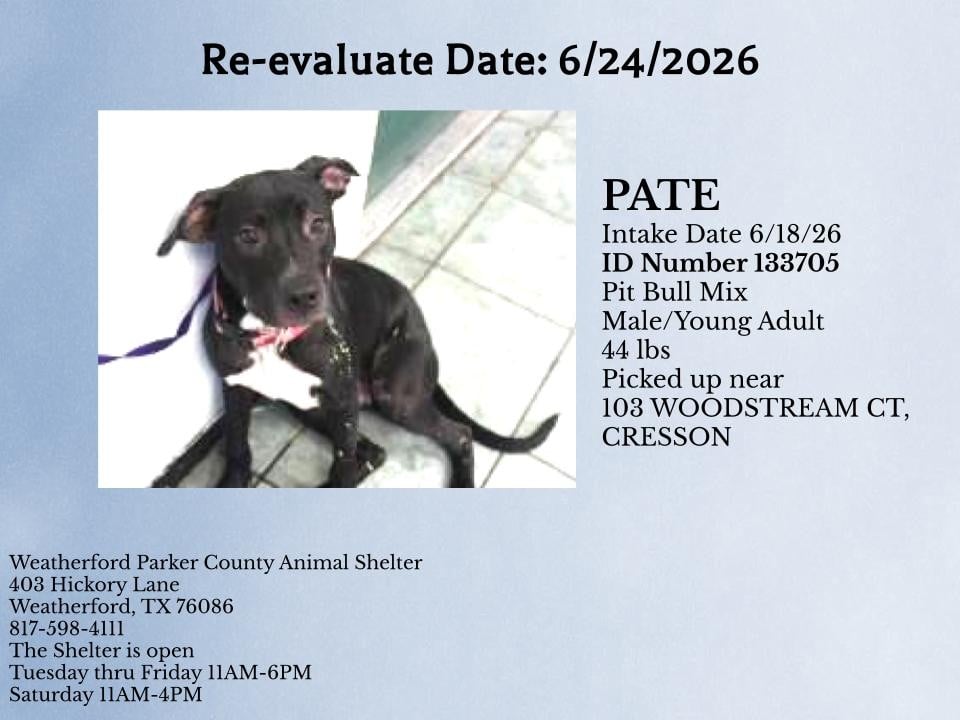 Additional photo of PATE