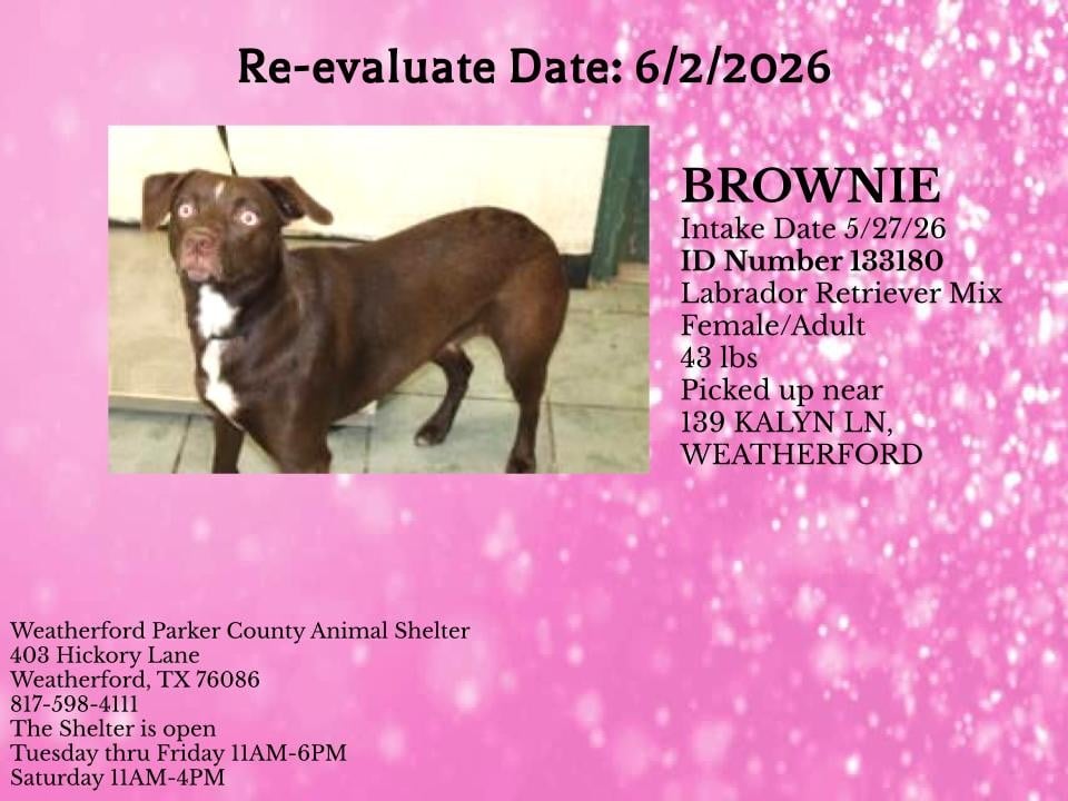 Additional photo of BROWNIE